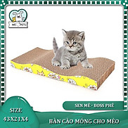 Bàn Cào Móng Cho Mèo Carton - Đồ Chơi Cho Mèo