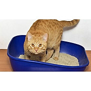 Cát vệ sinh cho mèo Snowbell Cát mèo vệ sinh khử mùi diệt khuẩn BENTONITE