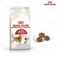royal canin hạt cho mèo các loại túi 400g