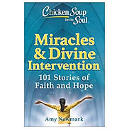Chicken Soup For The Soul Miracles & Divine Intervention 101 Stories Of