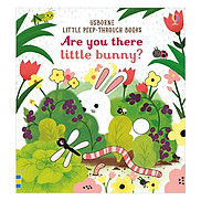 Sách thiếu nhi tiếng Anh - Usborne Are you there little bunny