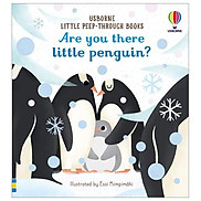 Usborne Little Peep-Through Books Are You There Little Penguin