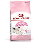 Royal Canin Mother & Babycat 2KG, Thức ăn dinh dưỡng cho mèo mẹ và mèo con
