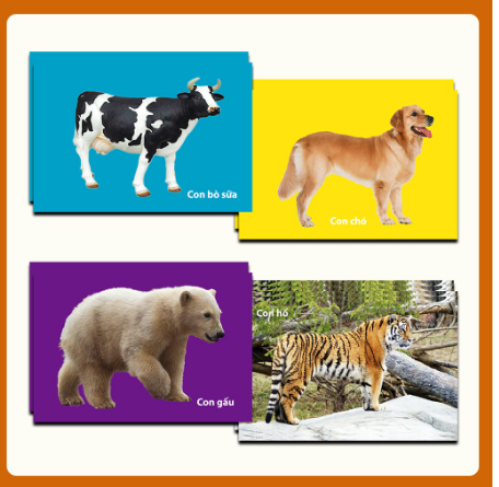 sách - thẻ flash thông minh bé nhận biết thế giới động vật - 11 x 16 cm, in 2 mặt dành cho bé từ 3 - 6 tuổi (30 thẻ) 1
