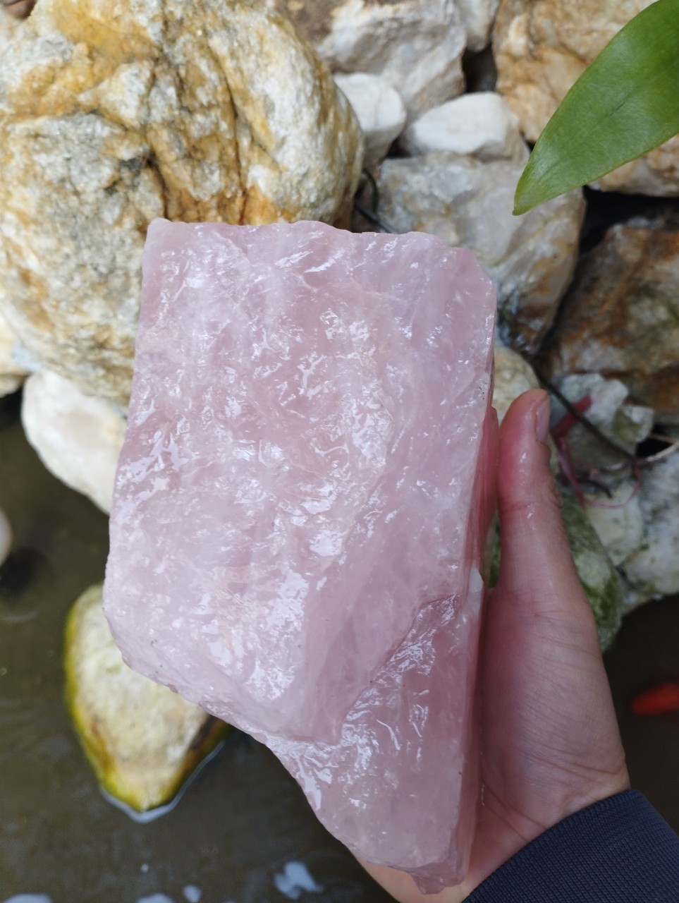 đá thạch anh vụn hồng tự nhiên năng lương - kích thước 4x6 cm 1