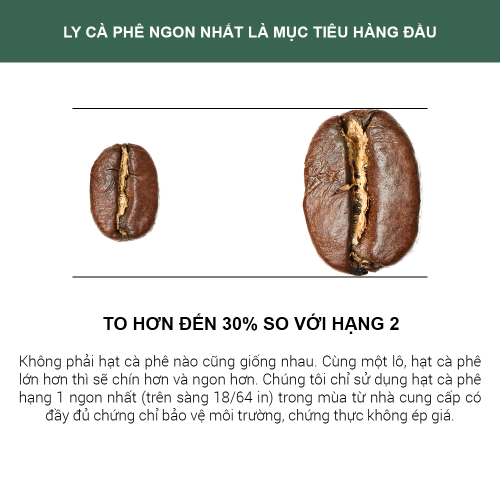 cà phê catimor rang xay tinh khiết 100% - 1864 café (1.1kg) 4